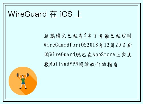 WireGuard 在 iOS 上 
